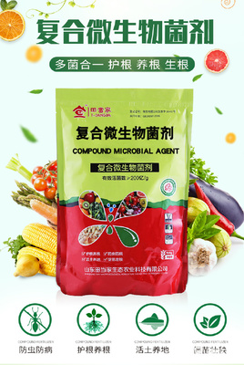 土傳病克星 復合微生物菌劑及其抗重茬、抗病害的創新研發