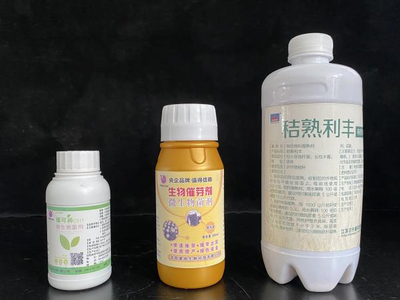 復合微生物菌劑的研發與應用 推動生物有機肥料發展新篇章