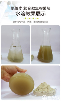 土傳病害的綠色克星 復(fù)合微生物菌劑與生物有機(jī)肥的創(chuàng)新研發(fā)與應(yīng)用