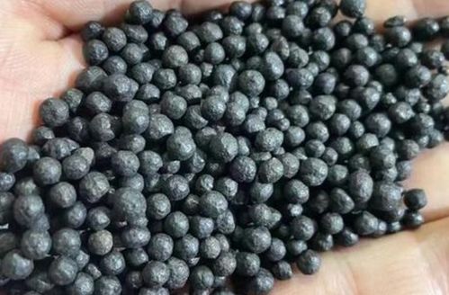 復合微生物肥料與生物有機肥料的研發 綠色農業的雙引擎