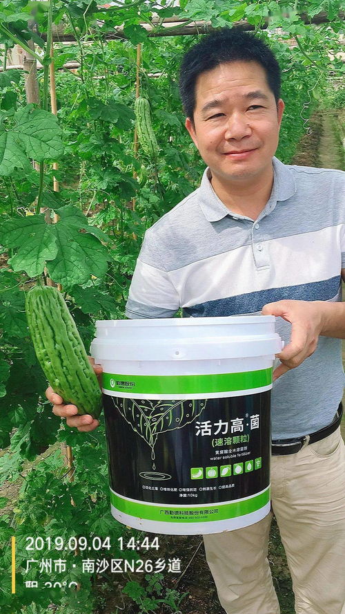 三效合一，增效顯著 活力高R菌、黃腐酸、魚蛋白復合菌劑引領微生物肥料新突破